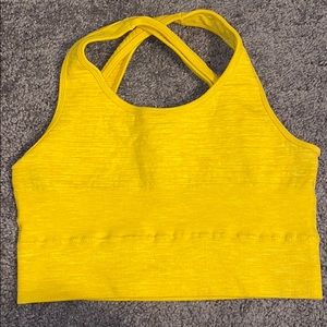 alphalete revival bra